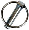 Linch Pin